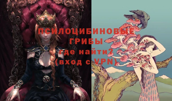 марки lsd Бородино