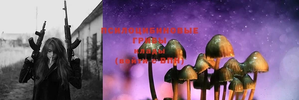 марки lsd Бородино
