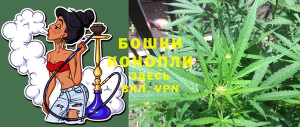 мяу мяу мука Сафоново