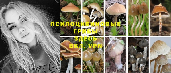 марки lsd Бородино