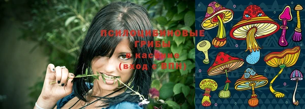 марки lsd Бородино