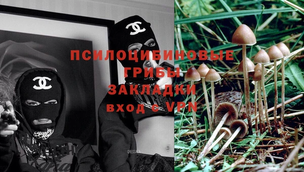 mdpv Верхний Тагил