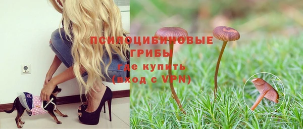 трава Бугульма