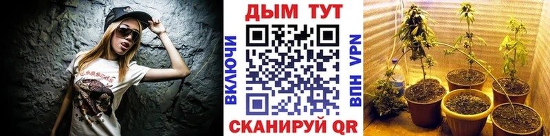 Марихуана Ganja  мориарти состав  Дмитров  сколько стоит 
